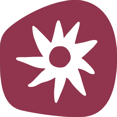 https://www.pvz17.at/wp-content/uploads/2026/05/Icon-Fuer-Immer_378x378px-1.png